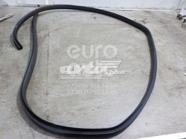 Уплотнитель двери передней левой (на двери) Hyundai/Kia 821104L000 цена, от 50.73 USD