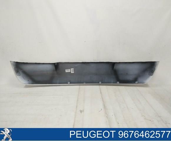  9676462577 Peugeot/Citroen