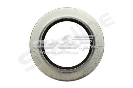  Starline TLMKT2498