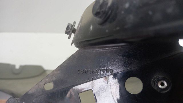Купить 9801947780 Peugeot/Citroen 
