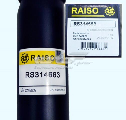 RS314663 Raiso Амортизаторы задние