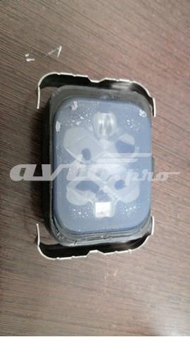  C2D5561 Jaguar