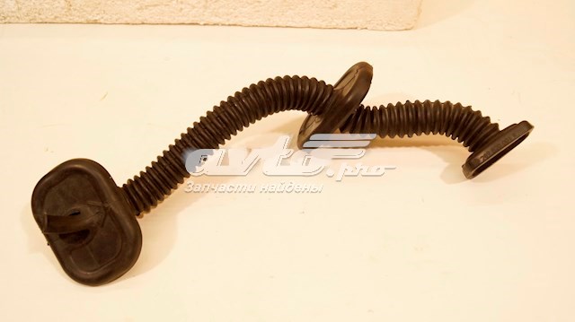  Renault (RVI) 289820001R