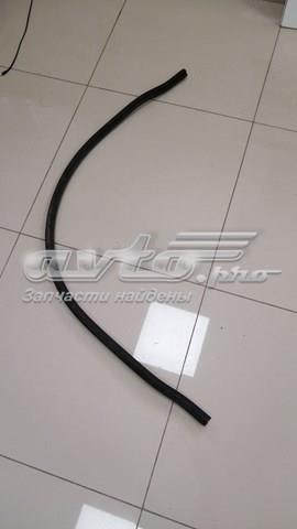  Уплотнитель лобового стекла Citroen C-Elysee 