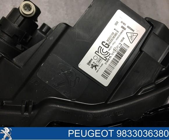  90200109 Peugeot/Citroen