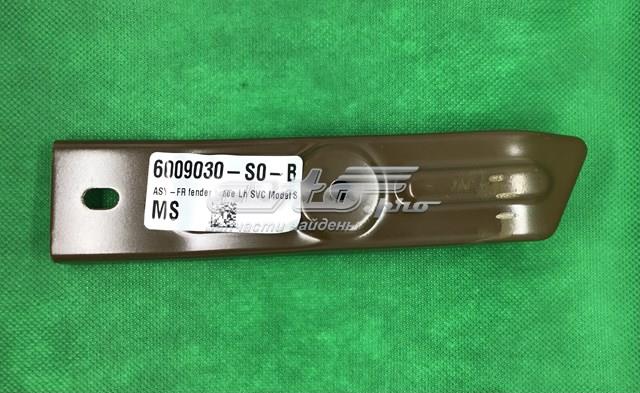  6009030S0B Tesla