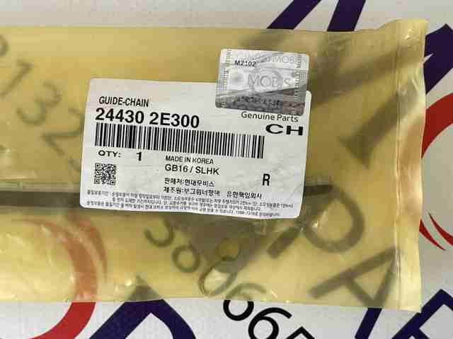 244302E300 Hyundai/Kia Успокоитель цепи ГРМ, левый