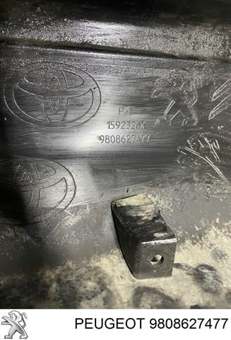 9808627477 Peugeot/Citroen Задний бампер