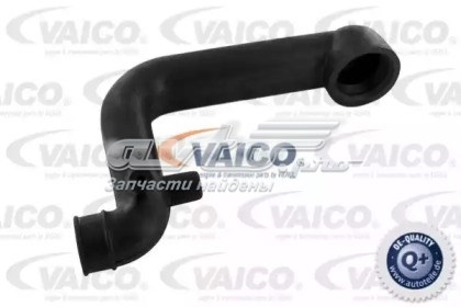 Патрубок вентиляции картера (маслоотделителя) VAICO V300796