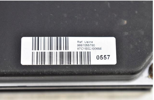 Купить 9667055780 Peugeot/Citroen 