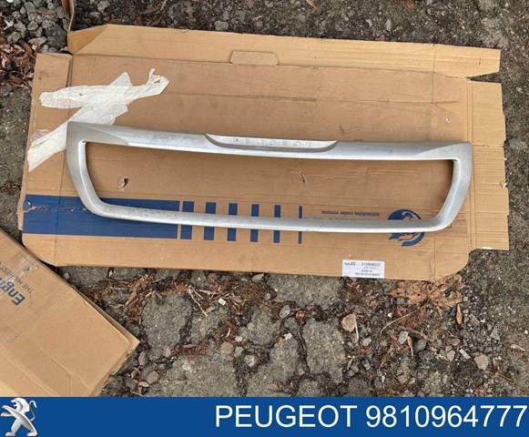 Облицовка радиатора FPS FP5427991 цена, от 45.73 USD