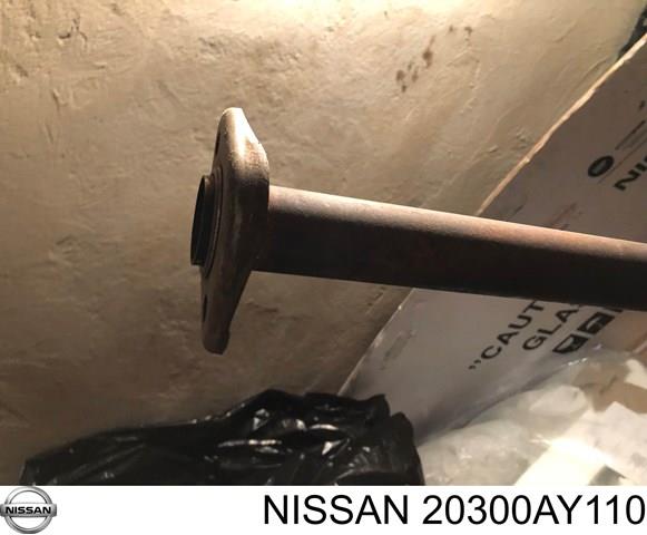 20300AY110 Nissan 