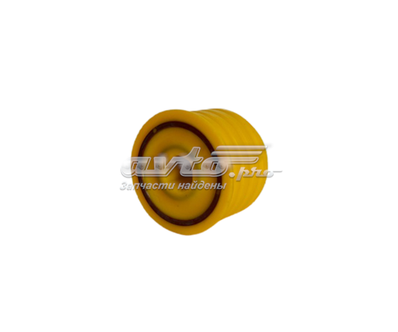 020707 Polybush 