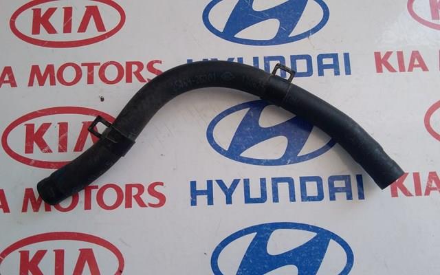 Купить Патрубок системы охлаждения Хендай Санта-Фе III DM