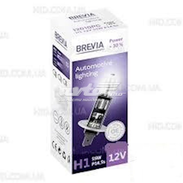  12010PC Brevia