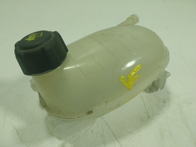 Бачок системы охлаждения 217102572R Renault (RVI)
