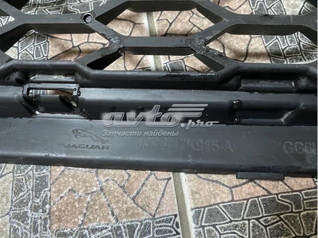 Купить T4N23310 Jaguar Решетка бампера переднего нижняя