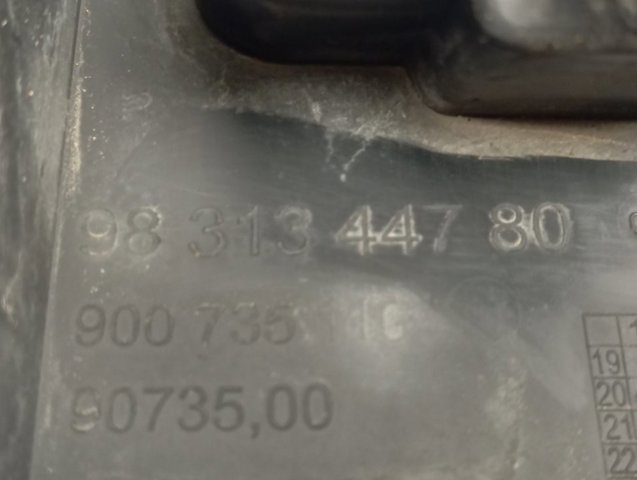  Peugeot/Citroen 9831344780