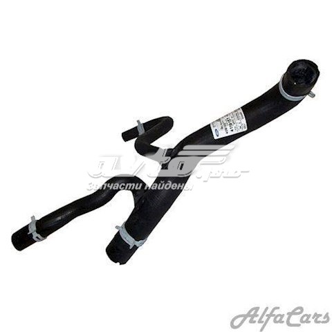 4104936 FORD Manguera refrigerante para radiador inferiora original y equivalente