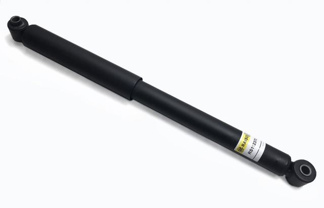 RS112370 Raiso Амортизаторы задние