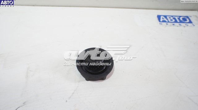 302320494 Ford 