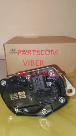 Compre Válvula EGR de recirculação dos gases KIA Sorento 4