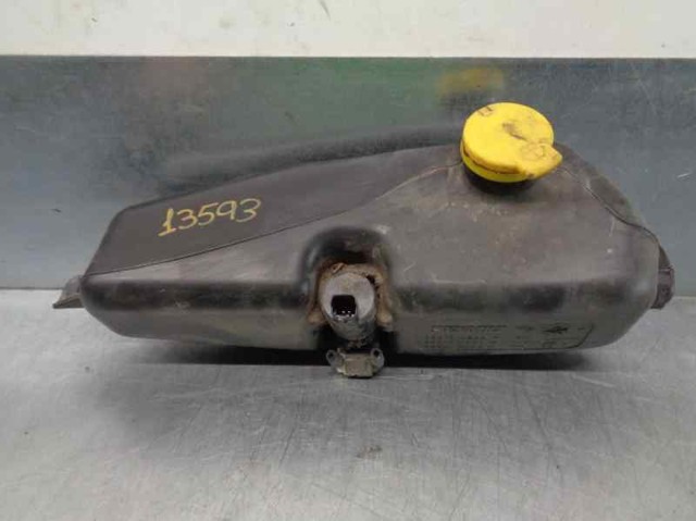 289104583R Renault (RVI) 