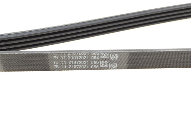 Клиновый ремень Continental/Siemens 4PK1590 цена, от 11.28 USD
