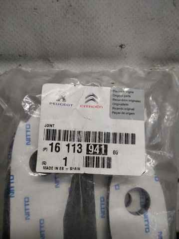 1611394180 Peugeot/Citroen 