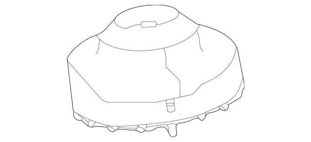 T4N37081 Jaguar 