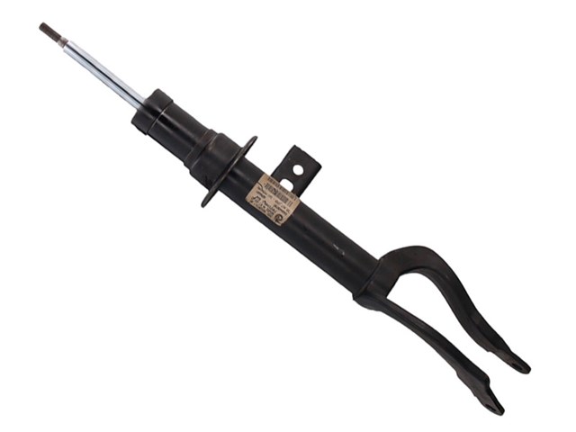MSPG001 MSG 