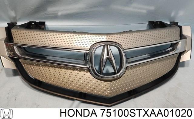 75100STXAA01020 Honda 