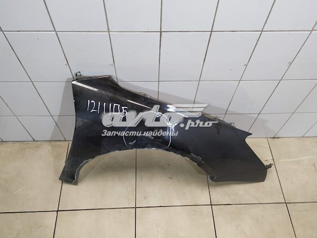 7841X7 Peugeot/Citroen Pára-lama dianteiro direito