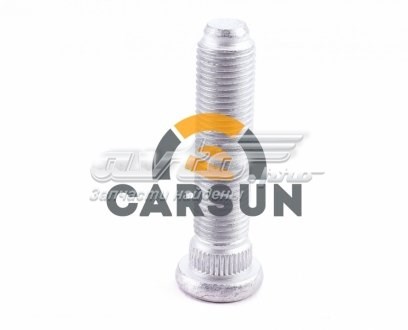 SS24119 DP Group Шпилька колесная, задняя