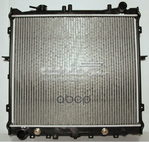 Радиатор охлаждения двигателя Termal 336643J