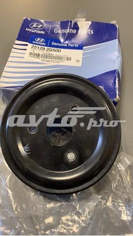 Polia da bomba de água para Hyundai Santa Fe III DM