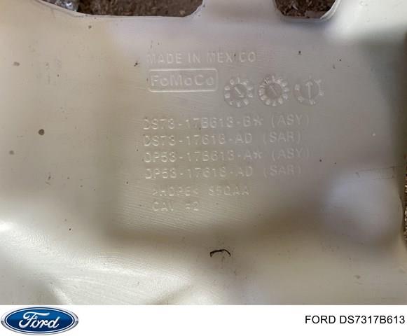 DS7317B613 Ford 