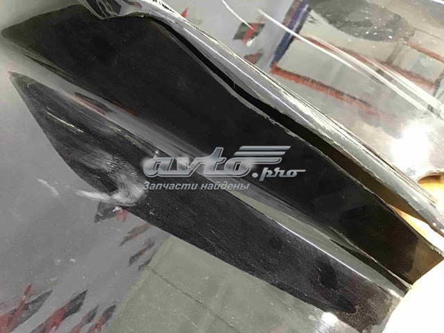  T4K5812 Jaguar