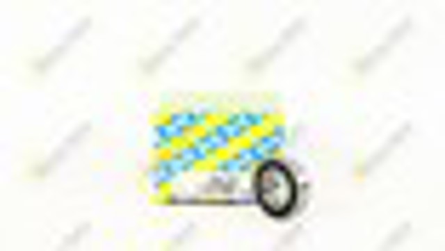 Compre 6003EE SNR Rolamento do gerador