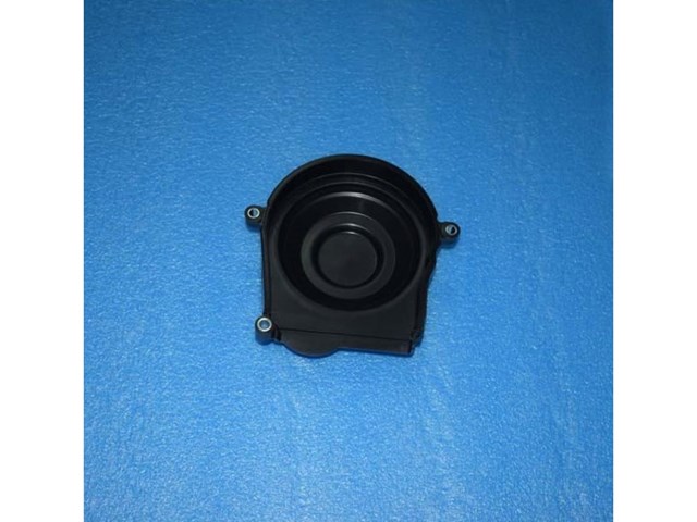 D4G15B1021080AB Chery 
