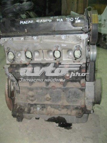 Двигатель в сборе 06A100033C VAG