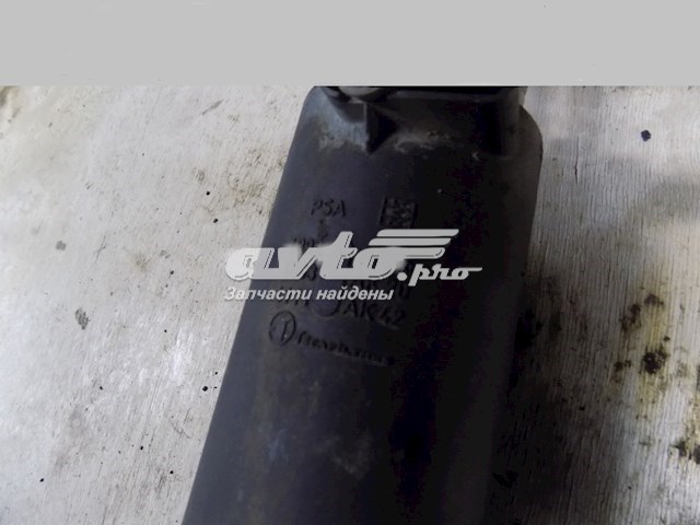 Adsorvedor dos vapores de combustível Peugeot 206  2A/C