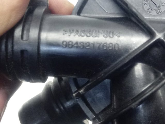 9843217680 Peugeot/Citroen 