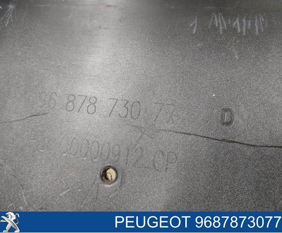 Купить 9687873077 Peugeot/Citroen 