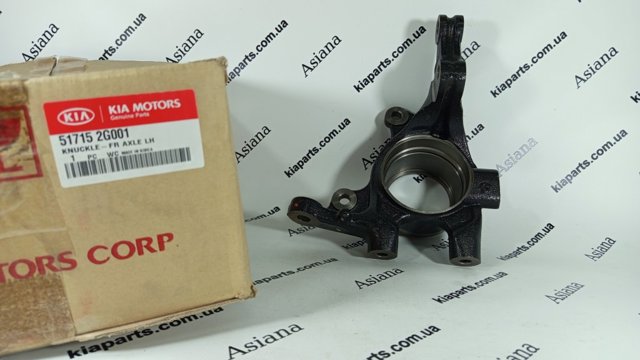 Цапфа (поворотный кулак) передний правый Hyundai/Kia 517161G900 цена, от 89.75 USD