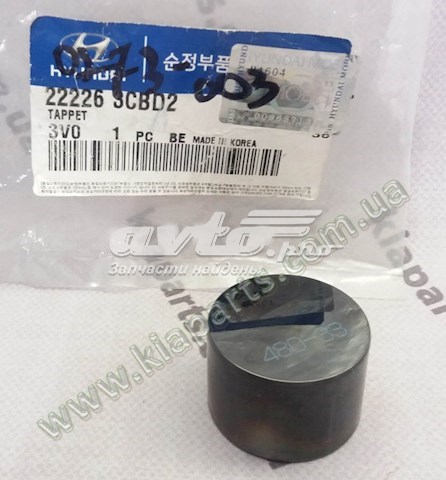  222263CBD2 Hyundai/Kia