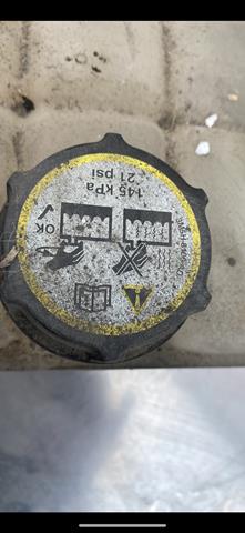  Ford 302320494