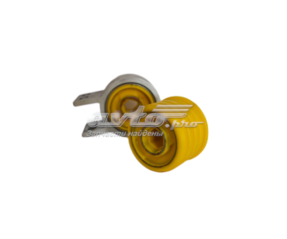  Polybush 020707