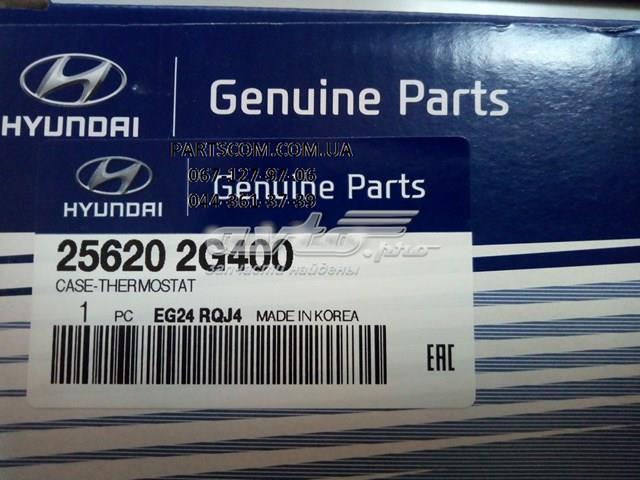  256202G400 Hyundai/Kia