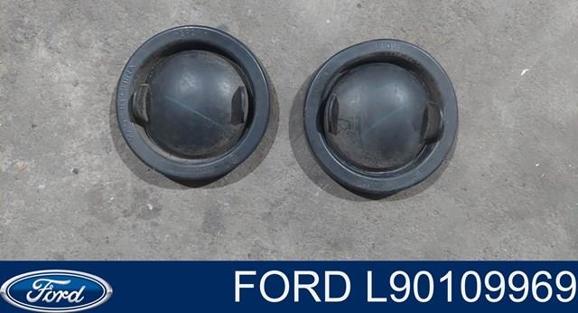  L90109969 Ford